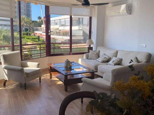 Alquiler 3 Dormitorio Apartamentos Alicante Alicante DLS86453063
