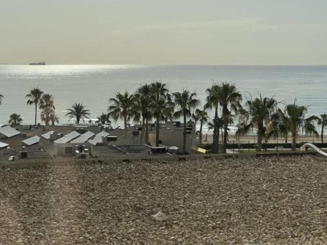 Alquiler 3 Dormitorio Apartamentos Alicante Alicante DS103392245