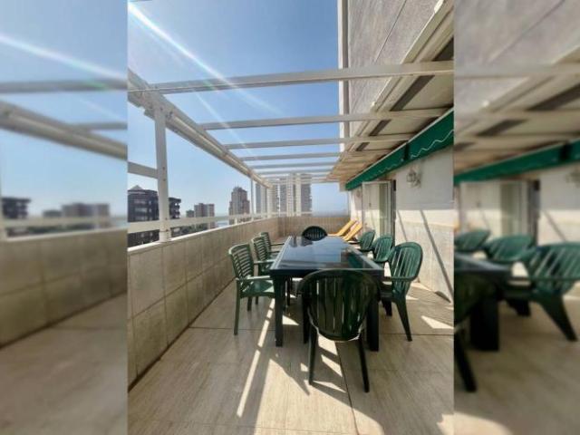 Alquiler 3 Dormitorio Apartamentos Alicante Alicante DS92823696