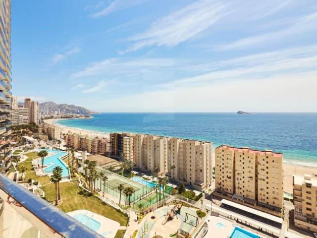 Alquiler 3 Dormitorio Apartamentos Alicante Communidad Valencia DS104913164