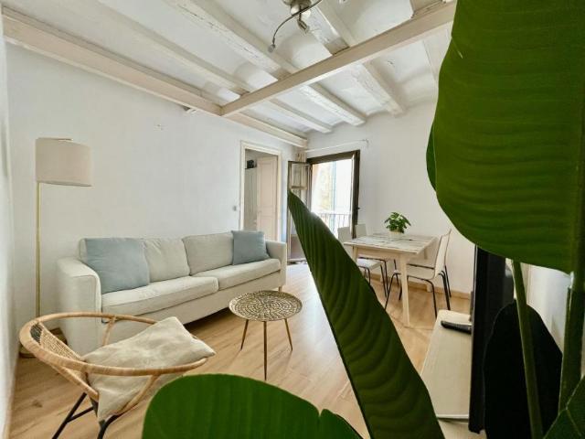 Alquiler 3 Dormitorio Apartamentos Barcelona Barcelona DS100730607