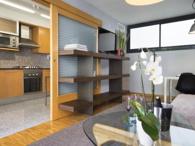 Alquiler 3 Dormitorio Apartamentos Barcelona Barcelona DS101837183
