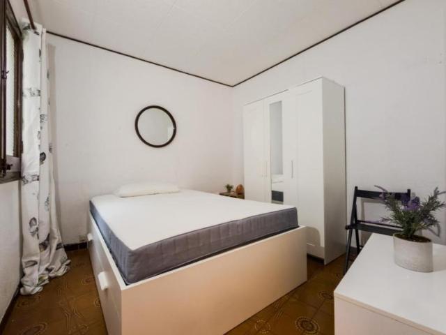 Alquiler 3 Dormitorio Apartamentos Barcelona Barcelona DS103284716