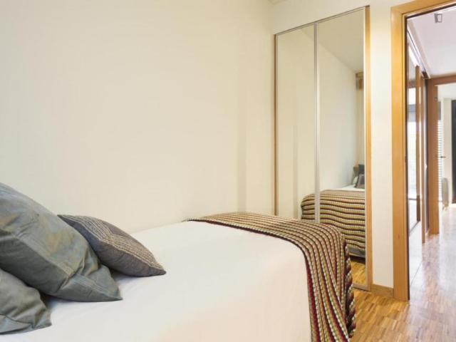 Alquiler 3 Dormitorio Apartamentos Barcelona Barcelona DS104925812