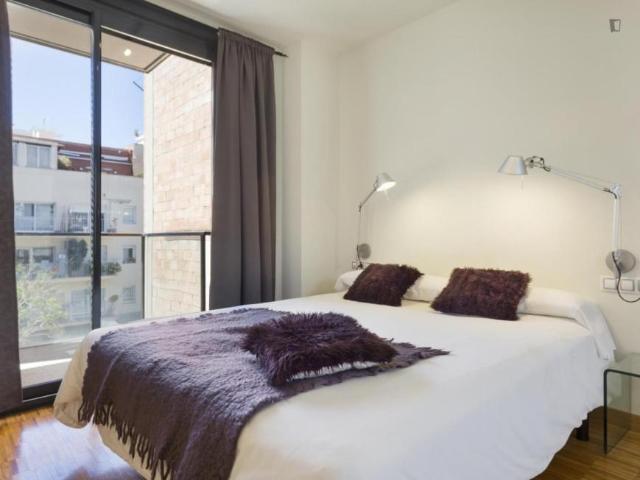 Alquiler 3 Dormitorio Apartamentos Barcelona Barcelona DS104926590