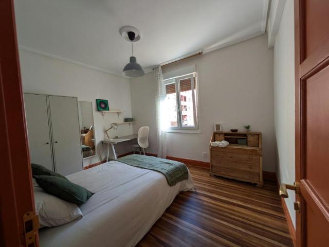 Alquiler 3 Dormitorio Apartamentos Bilbao Bilbao DS101844064