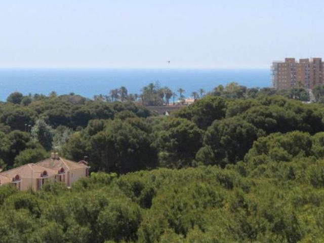 Alquiler 3 Dormitorio Apartamentos Dehesa De Campoamor Dehesa De Campoamor DLS102848109