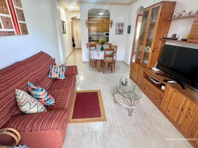 Alquiler 3 Dormitorio Apartamentos Guardamar Del Segura Alicante, Costa Blanca DS96440547