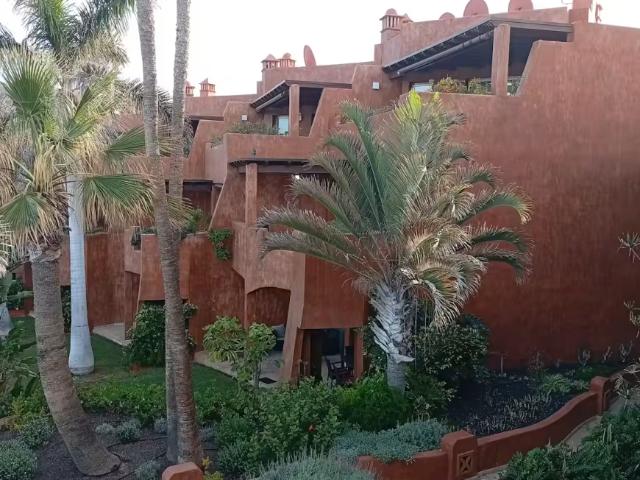 Alquiler 3 Dormitorio Apartamentos Palm Palm DS100253808