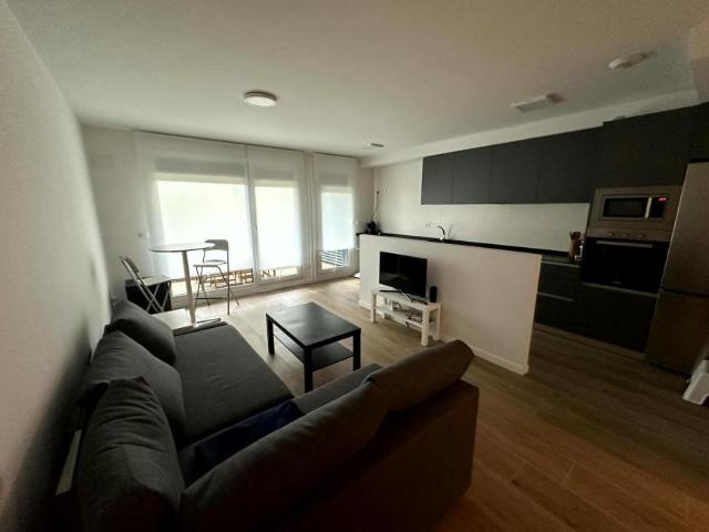 Alquiler 3 Dormitorio Apartamentos Pasaia Pasaia DS92158627
