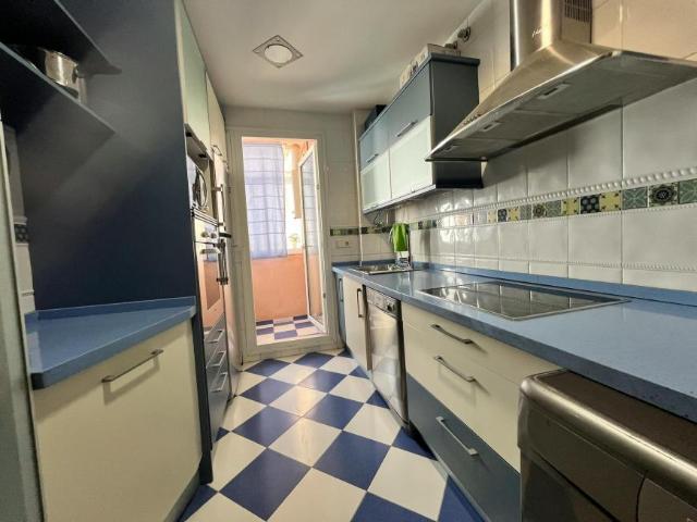 Alquiler 3 Dormitorio Apartamentos Sevilla Sevilla DS103841347