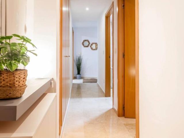 Alquiler 3 Dormitorio Apartamentos Valencia Valencia DS104474202