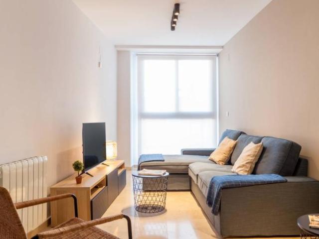 Alquiler 3 Dormitorio Apartamentos Valencia Valencia DS104474241