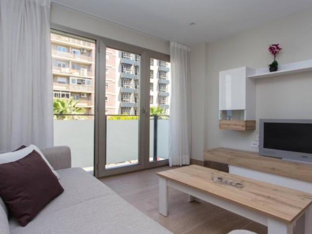 Alquiler 3 Dormitorio Apartamentos Valencia Valencia DS101806086