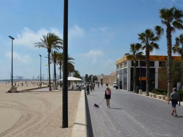 Alquiler 3 Dormitorio Apartamentos Valencia Valencia DS98268279