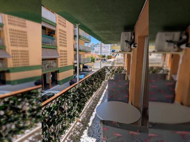 Alquiler 3 Dormitorio Apartamentos Valencia Valencia DS99510042