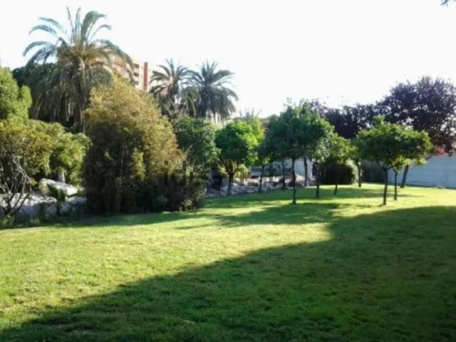 Alquiler 3 Dormitorio Apartamentos Valencia Valencia DS99937890