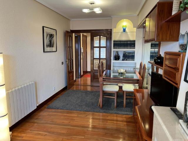 Alquiler 3 Dormitorio Apartamentos Vizcaya Basque Country DS102884382