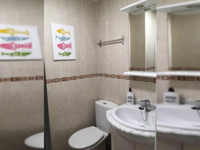 Alquiler 3 Dormitorio Apartamentos Zaragoza Zaragoza DLS102590310