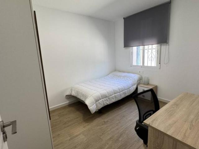 Alquiler 3 Dormitorio Shared Living/Roommate Murcia Murcia DS92170883