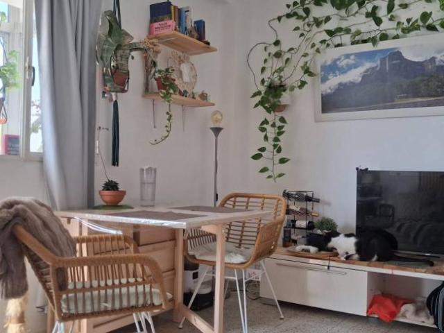 Alquiler 3 Dormitorio Shared Living/Roommate Malaga Malaga DLS94952248