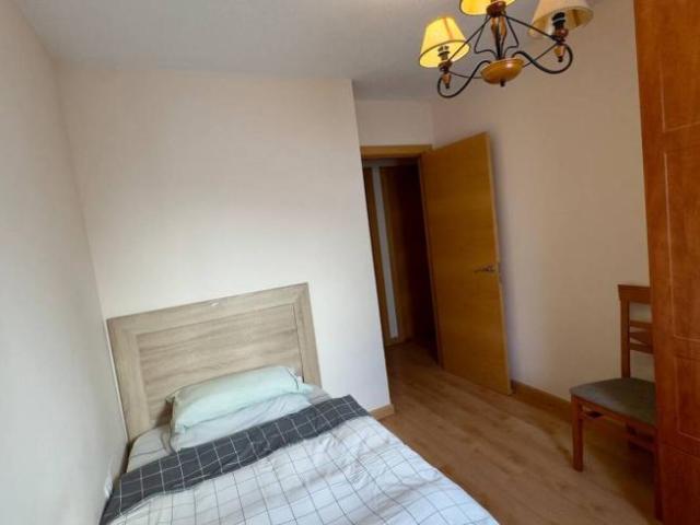 Alquiler 3 Dormitorio Shared Living/Roommate Malaga Malaga DS99523039