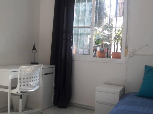 Alquiler 3 Dormitorio Shared Living/Roommate Malaga Malaga DS101693241