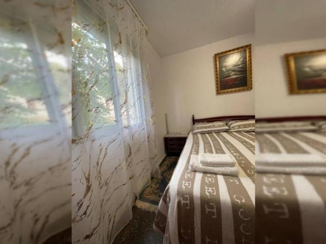 Alquiler 3 Dormitorio Shared Living/Roommate Alicante Alicante DLS101816548