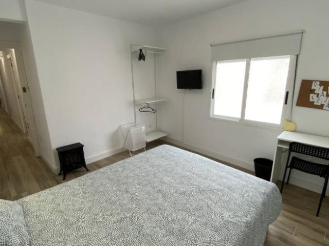 Alquiler 3 Dormitorio Shared Living/Roommate Alicante Alicante DS101808892