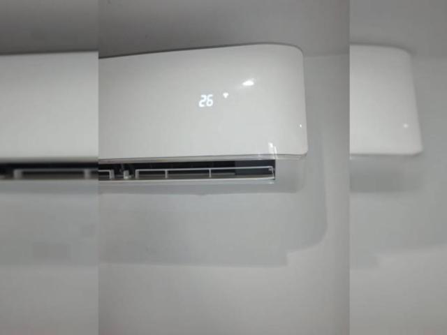 Alquiler 3 Dormitorio Shared Living/Roommate Alicante Alicante DS101813357