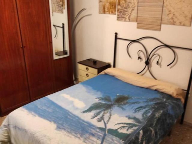 Alquiler 3 Dormitorio Shared Living/Roommate Alicante Alicante DS101821263