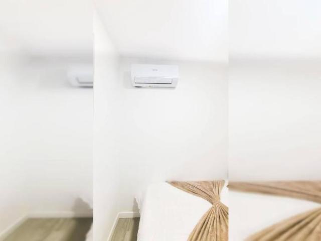 Alquiler 3 Dormitorio Shared Living/Roommate Alicante Alicante DS103064256