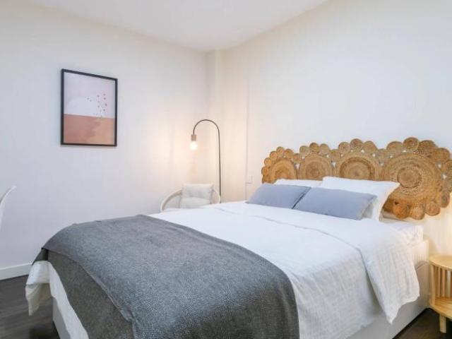 Alquiler 3 Dormitorio Shared Living/Roommate Alicante Alicante DS98498235