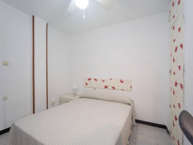 Alquiler 3 Dormitorio Shared Living/Roommate Granada Granada DLS101813361