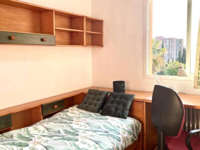 Alquiler 3 Dormitorio Shared Living/Roommate Granada Granada DLS101823738