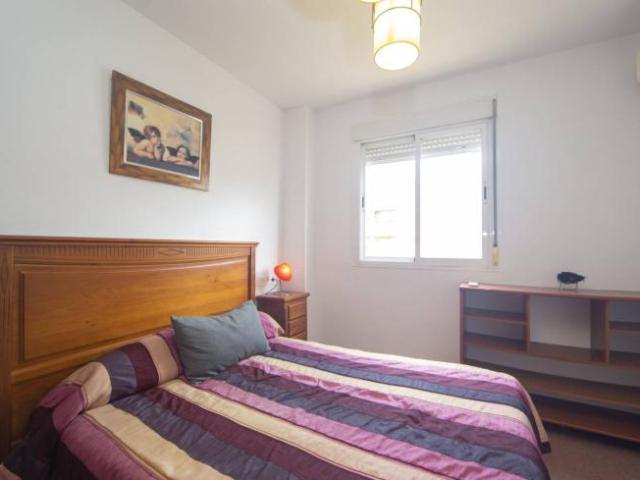 Alquiler 3 Dormitorio Shared Living/Roommate Granada Granada DS103398571