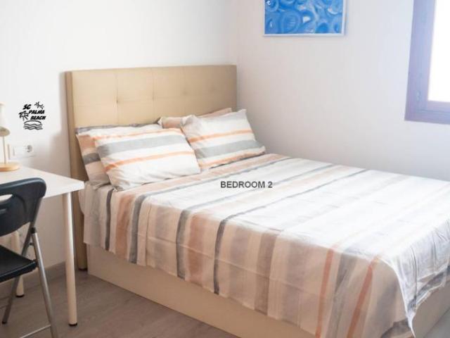 Alquiler 3 Dormitorio Shared Living/Roommate Palma De Mallorca Palma De Mallorca DS101819930