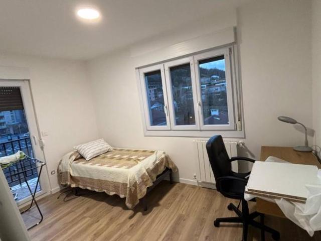 Alquiler 3 Dormitorio Shared Living/Roommate San Sebastian San Sebastian DS97165175