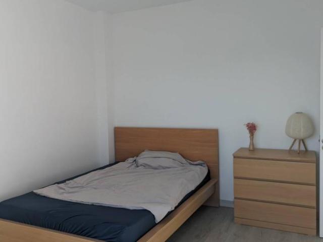 Alquiler 3 Dormitorio Shared Living/Roommate Santa Cruz De Tenerife Santa Cruz De Tenerife DS97313221