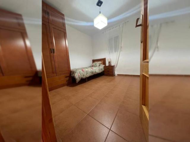 Alquiler 3 Dormitorio Shared Living/Roommate Seville Seville DLS96849229