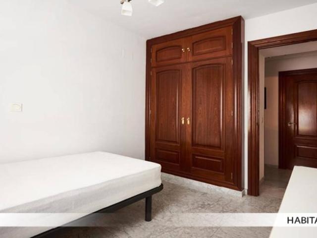 Alquiler 3 Dormitorio Shared Living/Roommate Seville Seville DLS101670947