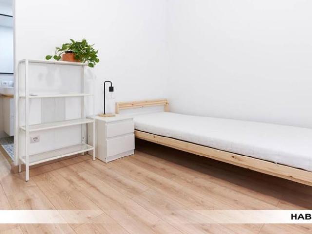 Alquiler 3 Dormitorio Shared Living/Roommate Seville Seville DS101765866