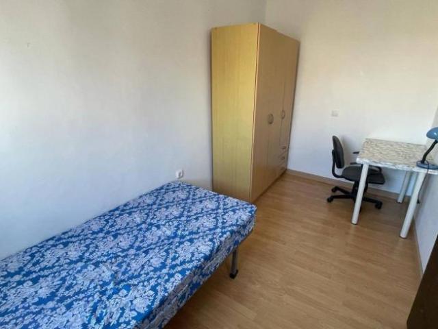 Alquiler 3 Dormitorio Shared Living/Roommate Seville Seville DS101842354