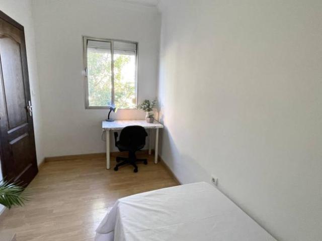 Alquiler 3 Dormitorio Shared Living/Roommate Seville Seville DS101816552
