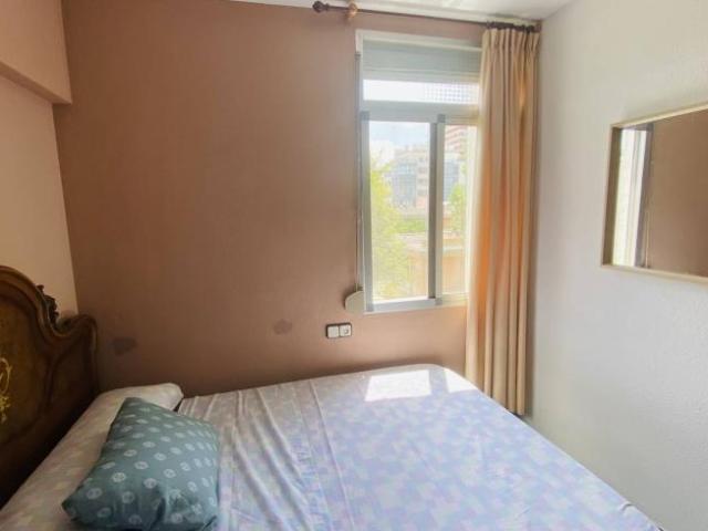 Alquiler 3 Dormitorio Shared Living/Roommate Valencia Valencia DS98888415