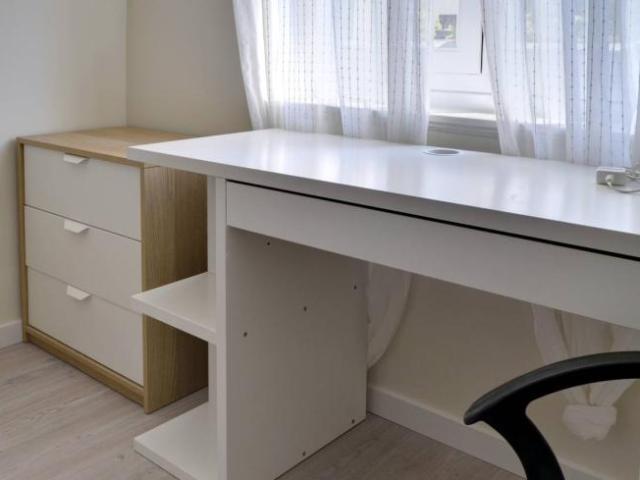 Alquiler 3 Dormitorio Shared Living/Roommate Zaragoza Zaragoza DS101994186