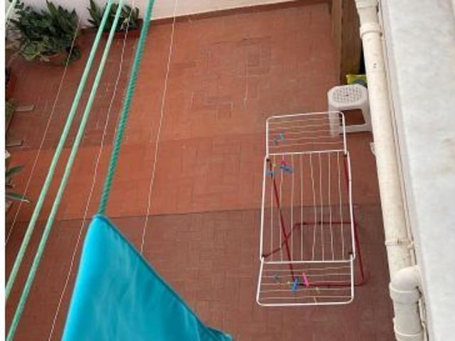 ALQUILER ZAPILLO TEMPORADA ESCOLAR