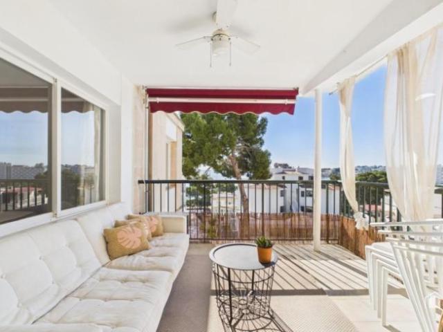 Alquiler Apartamentos Calvia Baleares DS101639368