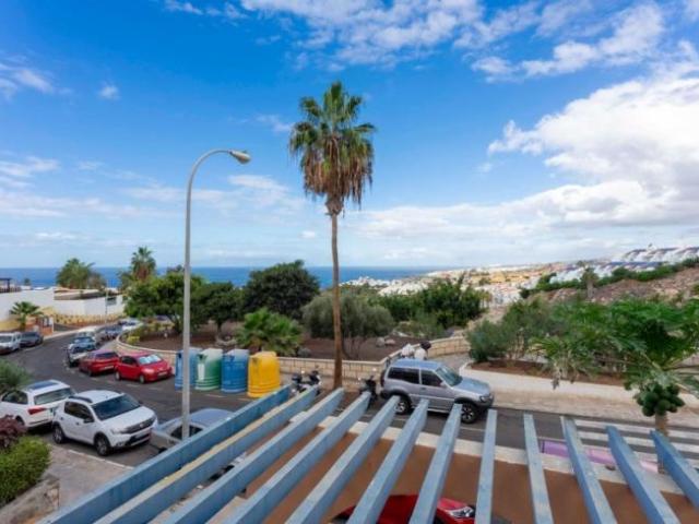 Alquiler Apartamentos Adeje Santa Cruz De Tenerife DS104470237