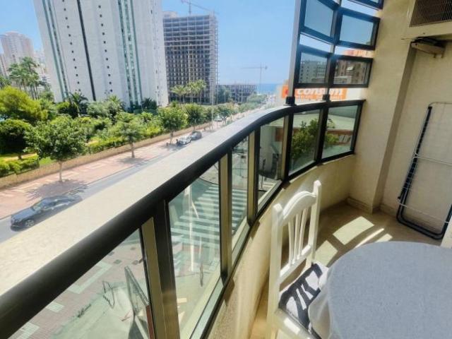 Alquiler Apartamentos Alicante Alicante DLS101811149